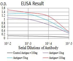 Mouse Monoclonal Antibody to ATP2A1