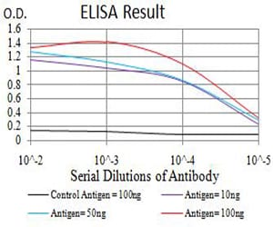 Mouse Monoclonal Antibody to BCAT2