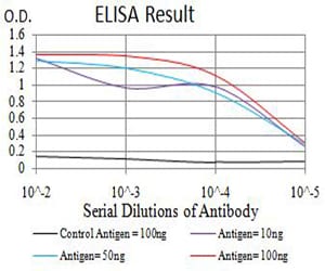 Mouse Monoclonal Antibody to BCL2L10