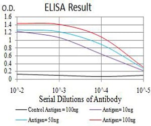 Mouse Monoclonal Antibody to TFAP2B