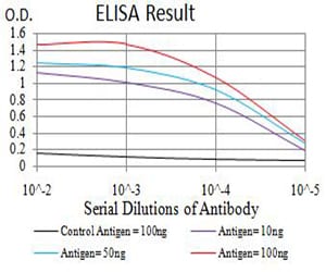 Mouse Monoclonal Antibody to BCL11B