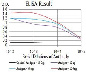 Mouse Monoclonal Antibody to BCL11B