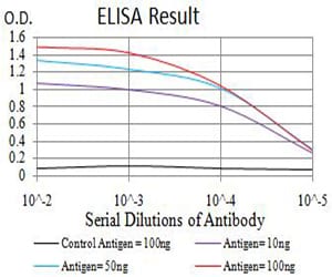 Mouse Monoclonal Antibody to TNFSF13B