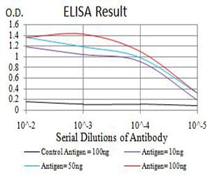 Mouse Monoclonal Antibody to NCAM1