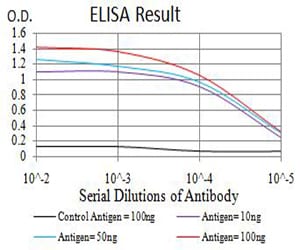 Mouse Monoclonal Antibody to NCAM1