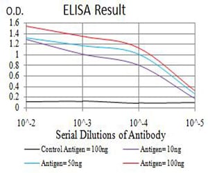 Mouse Monoclonal Antibody to CHRNA6