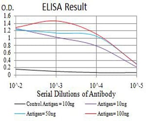 Mouse Monoclonal Antibody to RUNX1