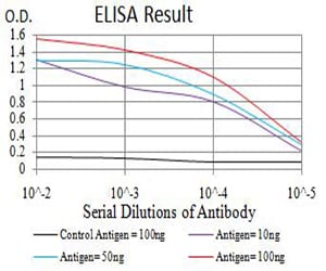 Mouse Monoclonal Antibody to RUNX1