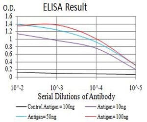 Mouse Monoclonal Antibody to ALDH1A1