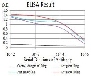 Mouse Monoclonal Antibody to ATRX