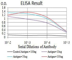 Mouse Monoclonal Antibody to GRIA2