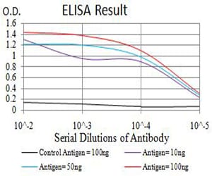 Mouse Monoclonal Antibody to BAG1