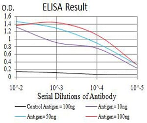 Mouse Monoclonal Antibody to AURKA