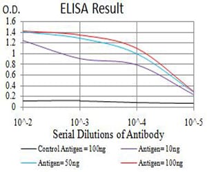 Mouse Monoclonal Antibody to AURKA