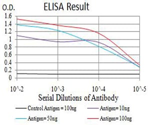 Mouse Monoclonal Antibody to GRM7