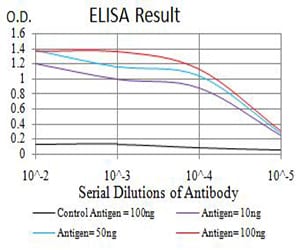 Mouse Monoclonal Antibody to GRM7