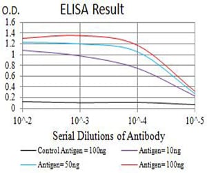 Mouse Monoclonal Antibody to ATG4C