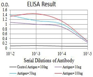 Mouse Monoclonal Antibody to CHRNA4