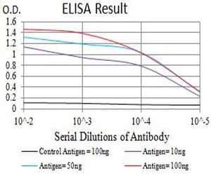 Mouse Monoclonal Antibody to GRIK5