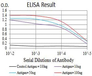 Mouse Monoclonal Antibody to GRM3
