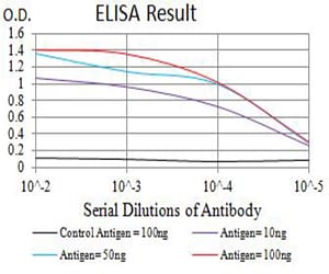 Mouse Monoclonal Antibody to CHRNA7