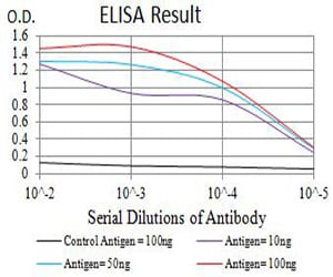 Mouse Monoclonal Antibody to GRM5