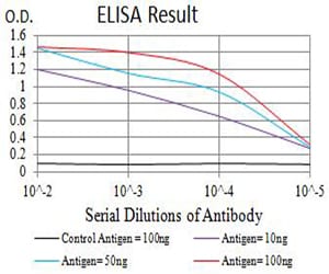 Mouse Monoclonal Antibody to GRM5