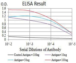 Mouse Monoclonal Antibody to BCR