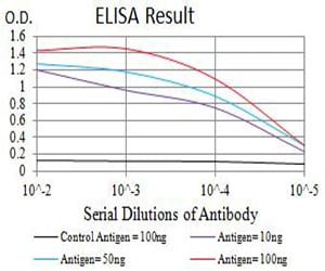 Mouse Monoclonal Antibody to BCR