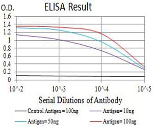 Mouse Monoclonal Antibody to GRIK2