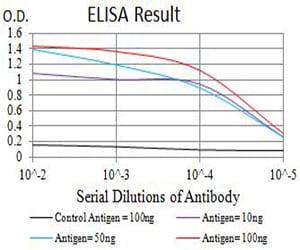Mouse Monoclonal Antibody to GRIK3