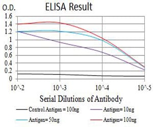 Mouse Monoclonal Antibody to GRIK4