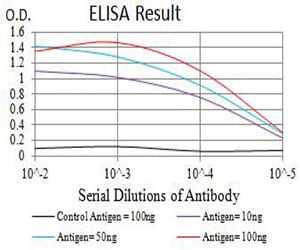 Mouse Monoclonal Antibody to CHRNA2
