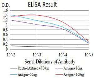 Mouse Monoclonal Antibody to CHRNB2