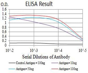 Mouse Monoclonal Antibody to ATG5