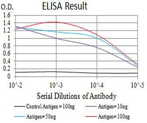 Mouse Monoclonal Antibody to ATG5
