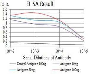 Mouse Monoclonal Antibody to BCL2L2
