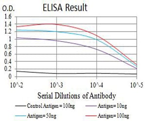 Mouse Monoclonal Antibody to BAK1