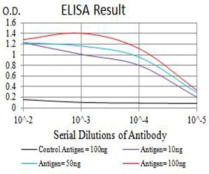 Mouse Monoclonal Antibody to PRKAB2
