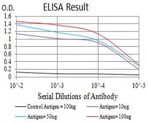 Mouse Monoclonal Antibody to PRKAB2