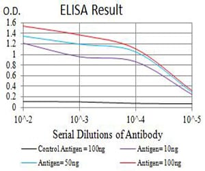 Mouse Monoclonal Antibody to CTNNB1