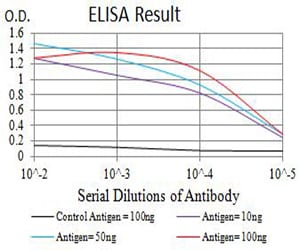 Mouse Monoclonal Antibody to GRIN2A