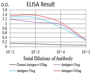 Mouse Monoclonal Antibody to BCL2L2