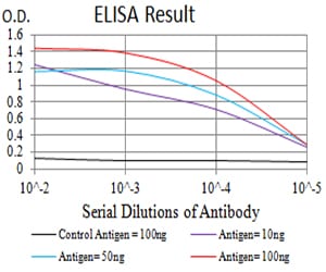 Mouse Monoclonal Antibody to GRM6