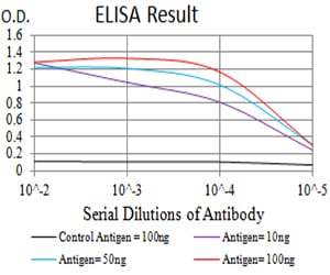Mouse Monoclonal Antibody to GRM6