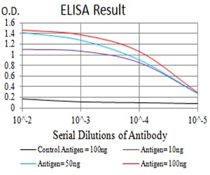 Mouse Monoclonal Antibody to ALDOA