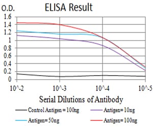 Mouse Monoclonal Antibody to GLRB