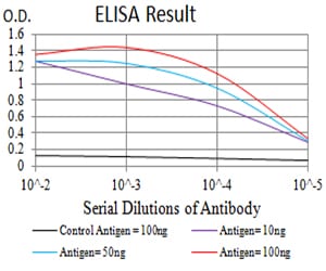 Mouse Monoclonal Antibody to HTR3B