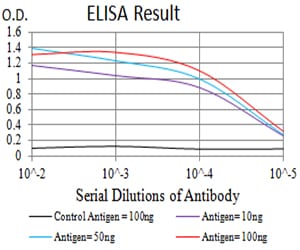Mouse Monoclonal Antibody to ADORA2A