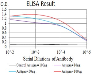 Mouse Monoclonal Antibody to AHR